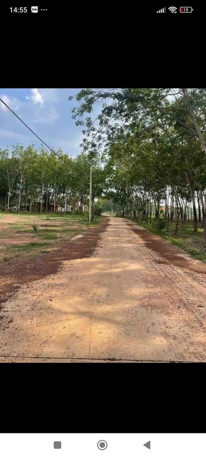 Đất nền Tân Hưng Đồng Phú 200m² giá chỉ 2xx triệu - Cơ hội đầu tư hấp dẫn!