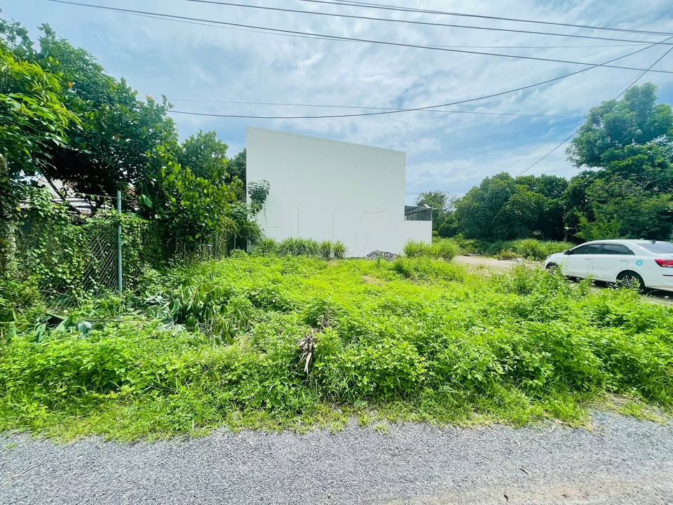 Đất nền Thôn Phò Thiện, Diên Thọ, 85m² chỉ 686 triệu - Đầu tư sinh lời ngay!