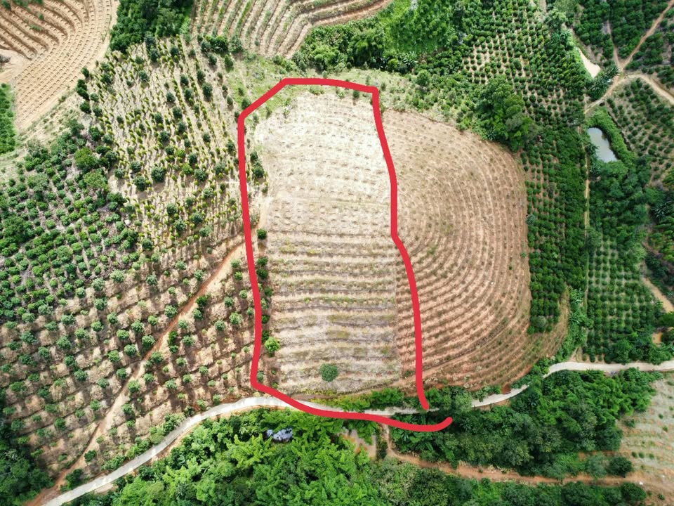 Đất Nền 5 Xào Tại Nâm Nung, Krông Nô - Giá Chỉ 500 Triệu!