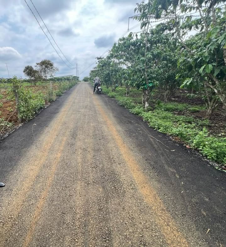 Đất hẻm Nguyễn Trãi, Bảo Lộc 180m² giá 1.6 tỷ - Hẻm thông, xây dựng tự do!