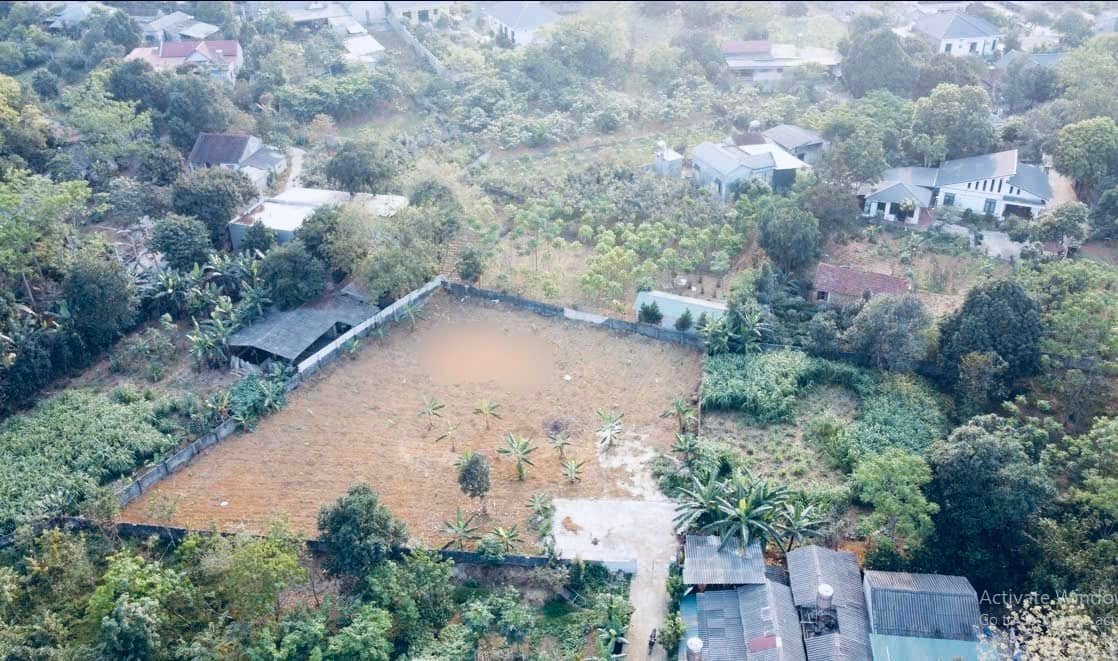 Đất nghỉ dưỡng Yên Bài, Ba Vì 1600m² giá 6.4 tỷ - Cơ hội đầu tư tuyệt vời!