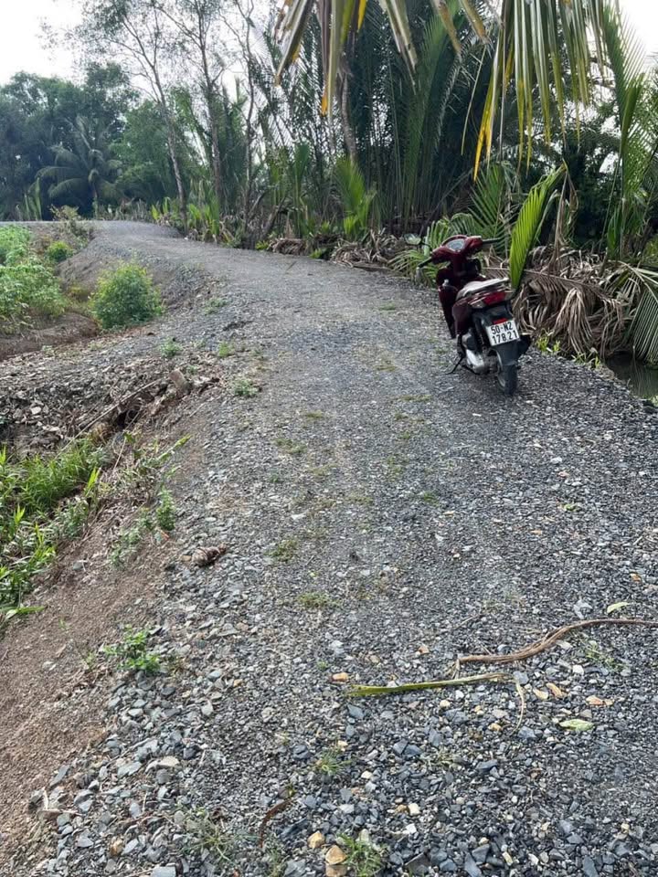 Đất mặt tiền đường đê đá xanh 240m² giá 900 triệu - Sổ hồng riêng, thương lượng!