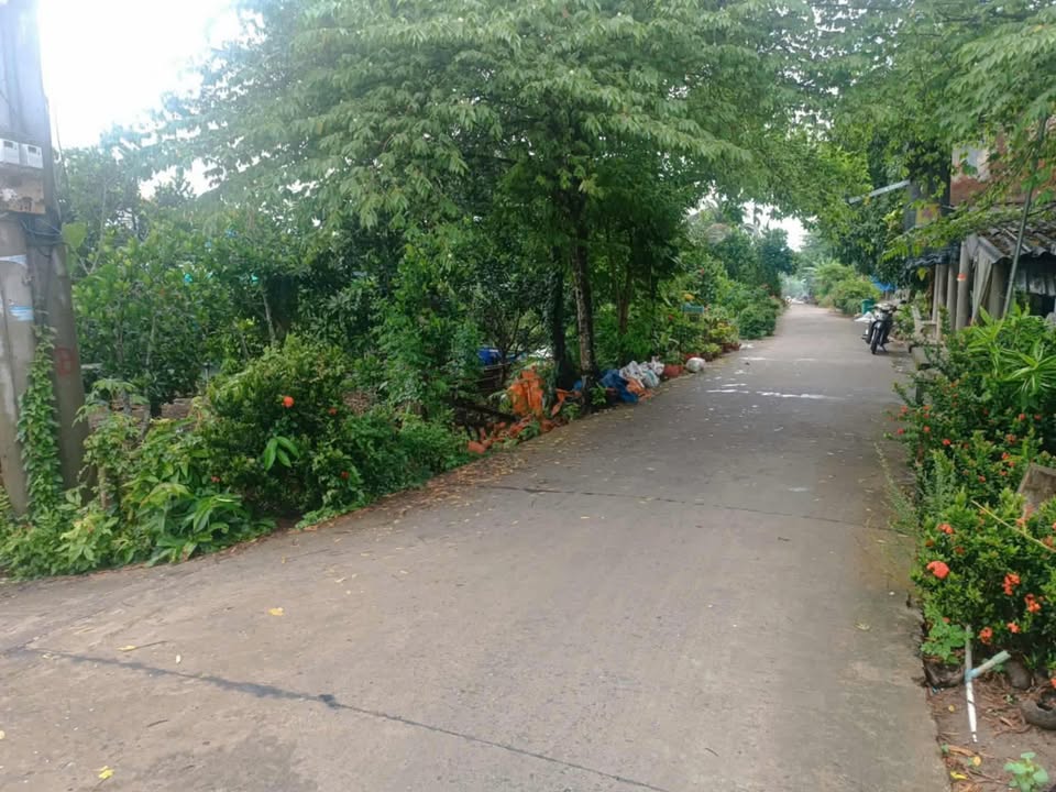 Đất nền Phú An 293m² giá 670 triệu - Đầu tư lý tưởng cho nghỉ dưỡng!