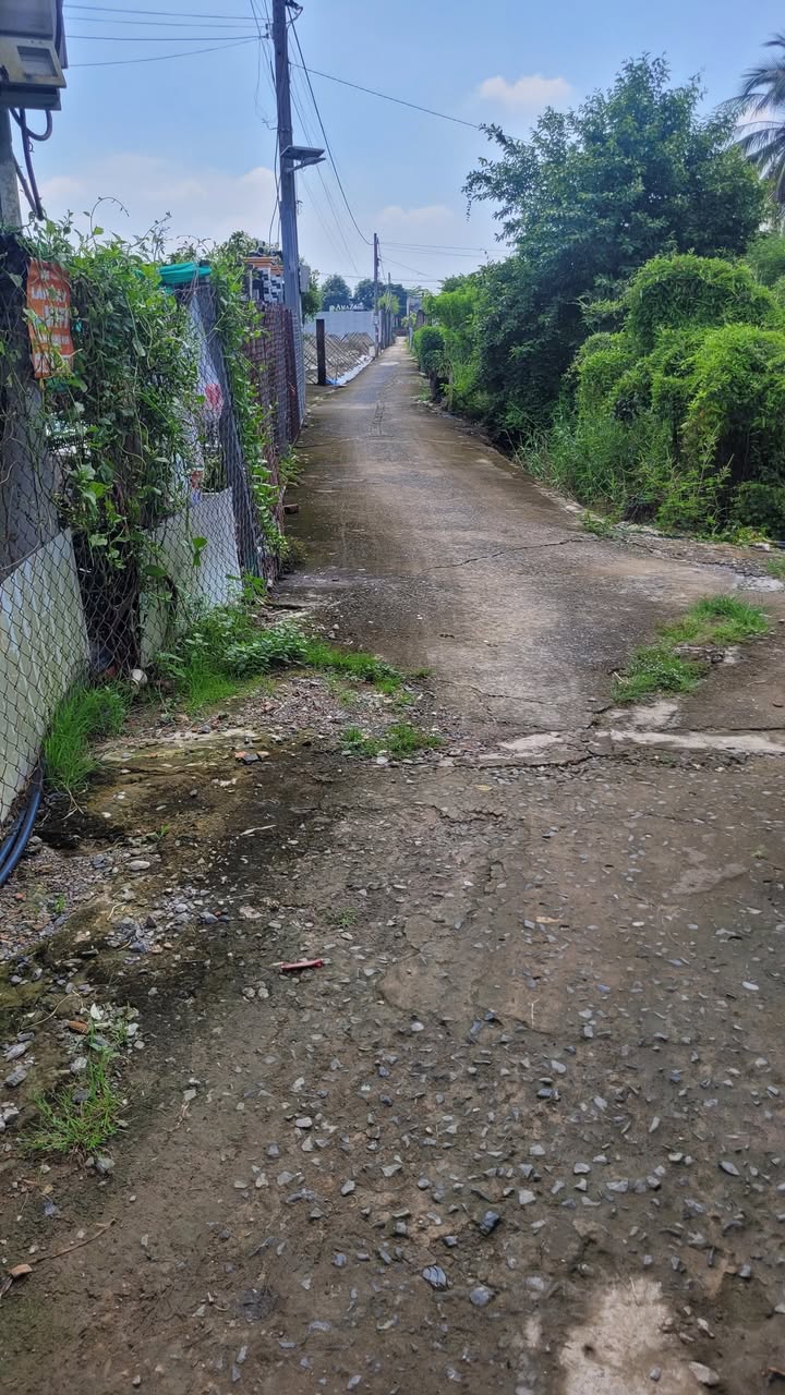 Nhà cấp 4 Bến Lức, Long An 151m² giá 1.6 tỷ - Tiện nghi đầy đủ, thuận lợi giao thông!