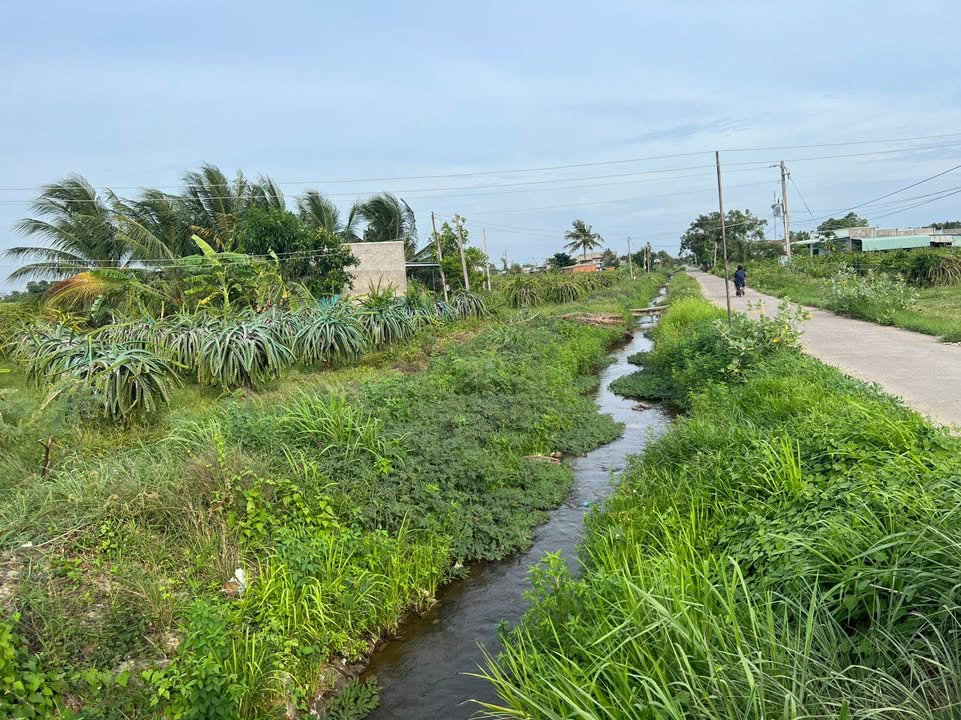 Đất mặt kênh Hàm Chính 3600m² giá 520 triệu - Sổ đỏ chính chủ, điện nước đầy đủ!