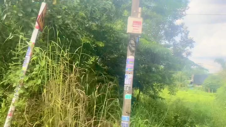 Đất thổ cư 655m² giá 1 tỷ - Khu dân cư đông đúc Trảng Bom, Đồng Nai!