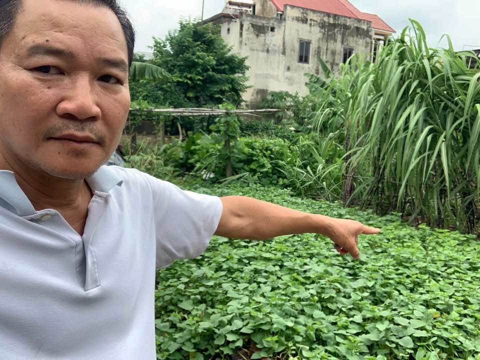 Đất nền Xuân Nộn - Đông Anh 72m² giá 4 tỷ - Vị trí đẹp, pháp lý rõ ràng!