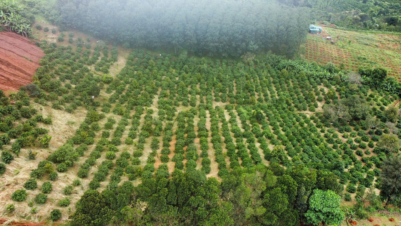 Đất nền 2,67ha xã Quảng Tâm, huyện Tuy Đức, Đắk Nông - Mặt tiền nhựa 80m chỉ 4,2 tỷ!