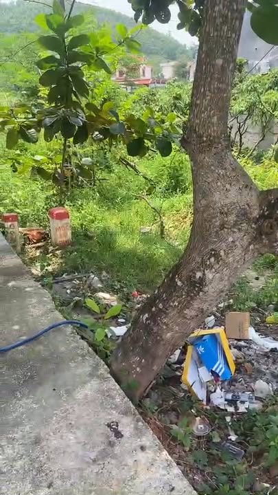 Đất nền Phượng Sơn, Quế Võ, Bắc Ninh 54m² giá 2.2 tỷ - Cần bán gấp chính chủ!