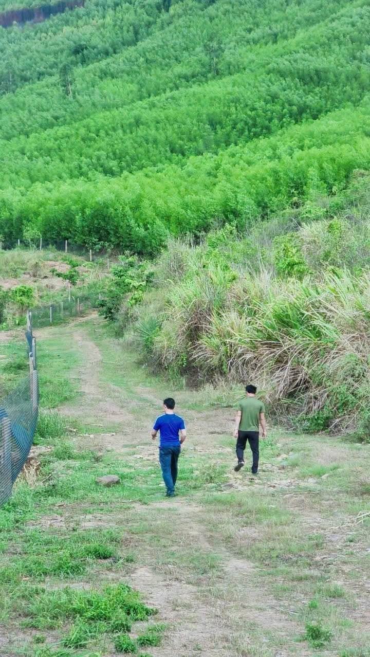 Đất Farm 27.4ha Ninh Tây, Ninh Hòa giá 8 tỷ - Cơ hội đầu tư sinh lời!