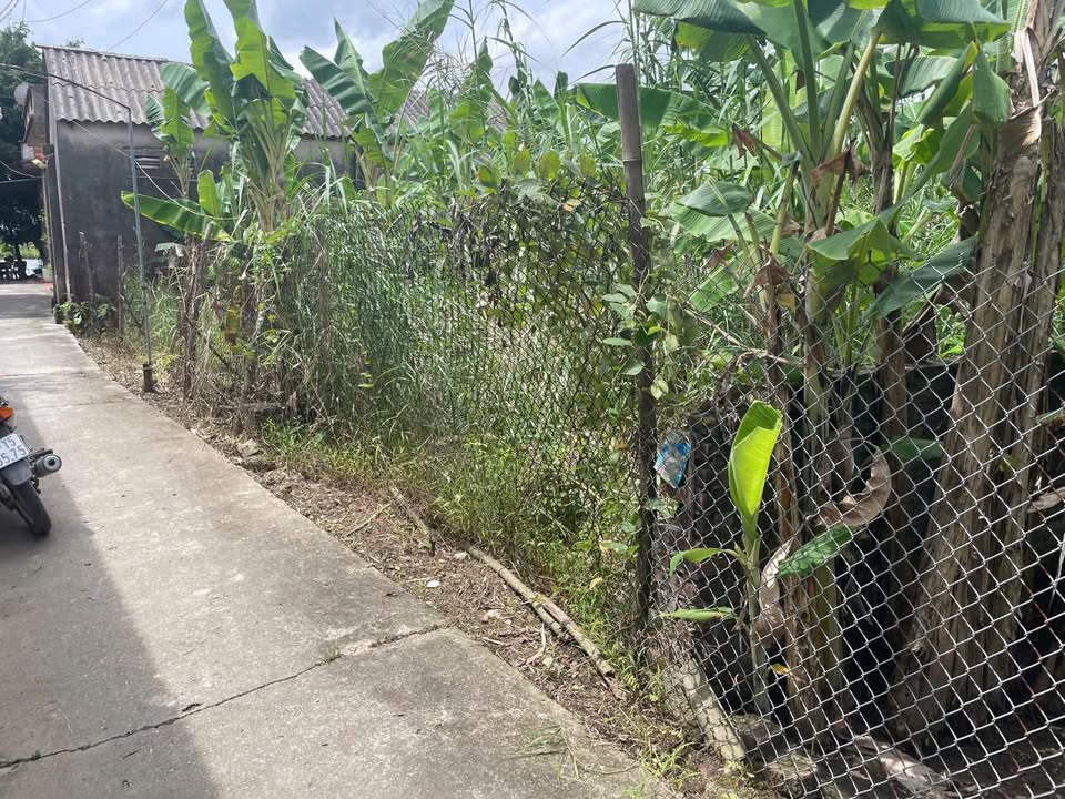 Đất nền Thôn Xâm Xuyên, Hồng Vân, Thường Tín 100m² giá chỉ 3 tỷ - Đầu tư sinh lời!