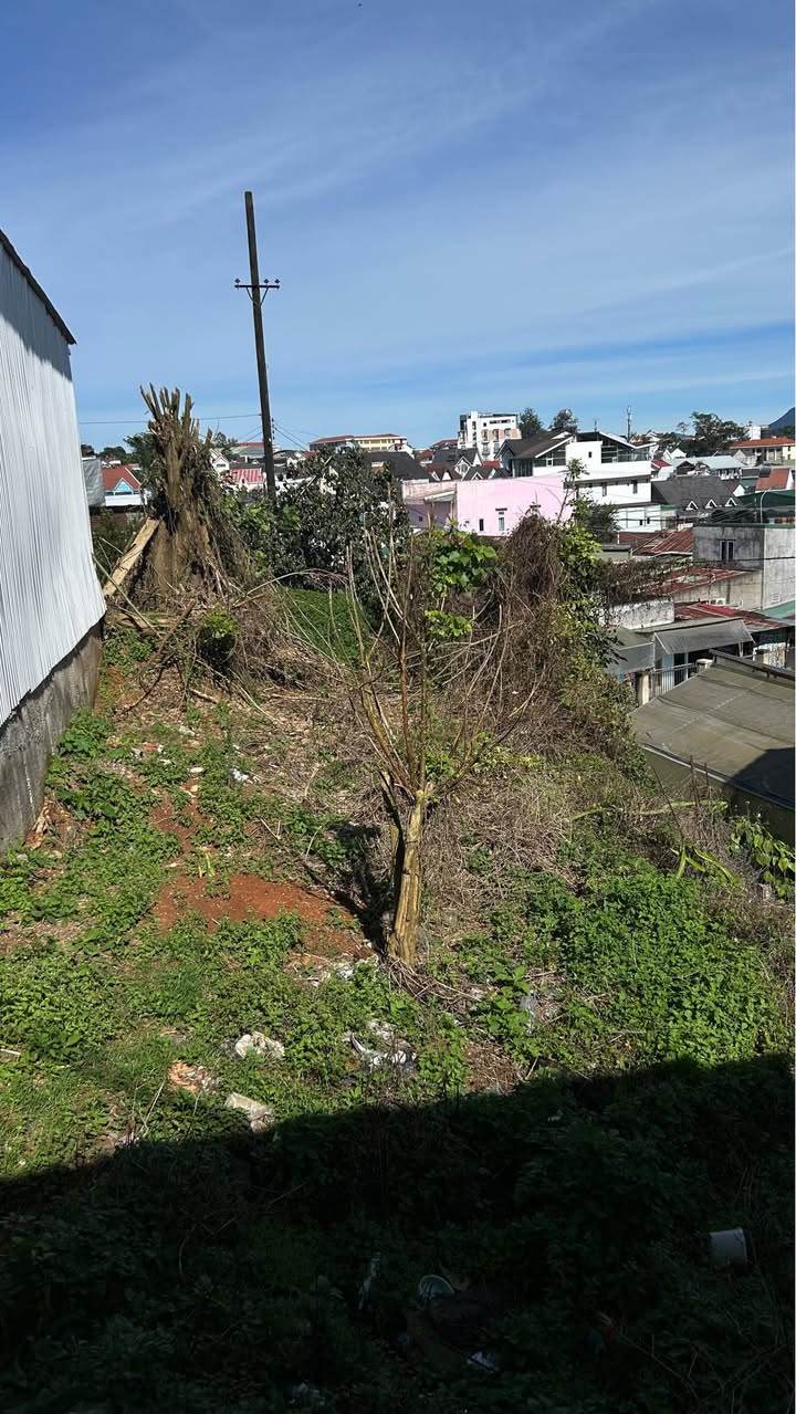 Đất thổ cư 150m² tại P9 Đà Lạt chỉ 1.6 tỷ - Đầu tư sinh lời ngay!