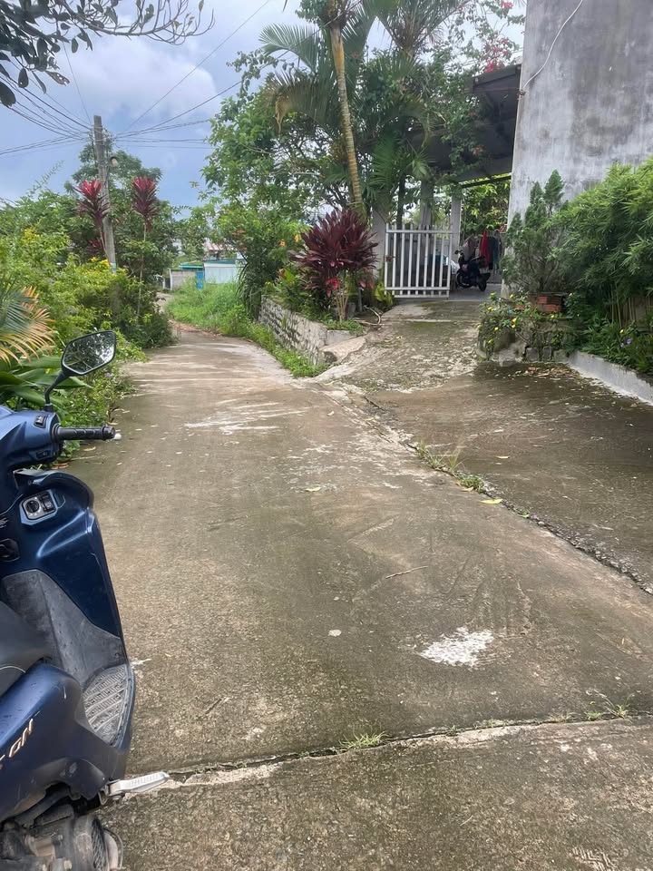 Đất thổ cư Tân Lập Lâm Hà 100m² giá 555 triệu - Cần bán gấp!