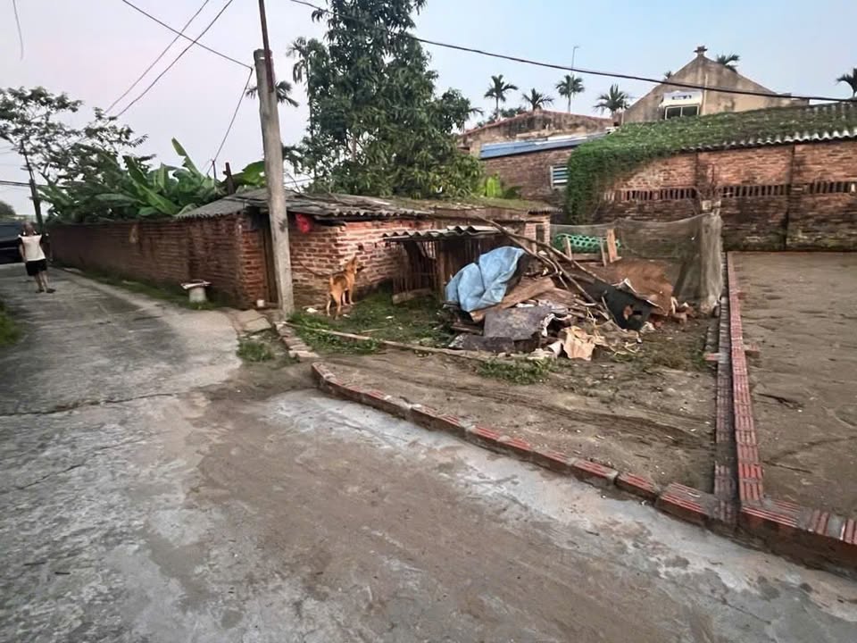 Đất nền Đặng Xá Gia Lâm 50m² giá 3 tỷ - Lô góc, mặt tiền 5m, giao thông thuận tiện!