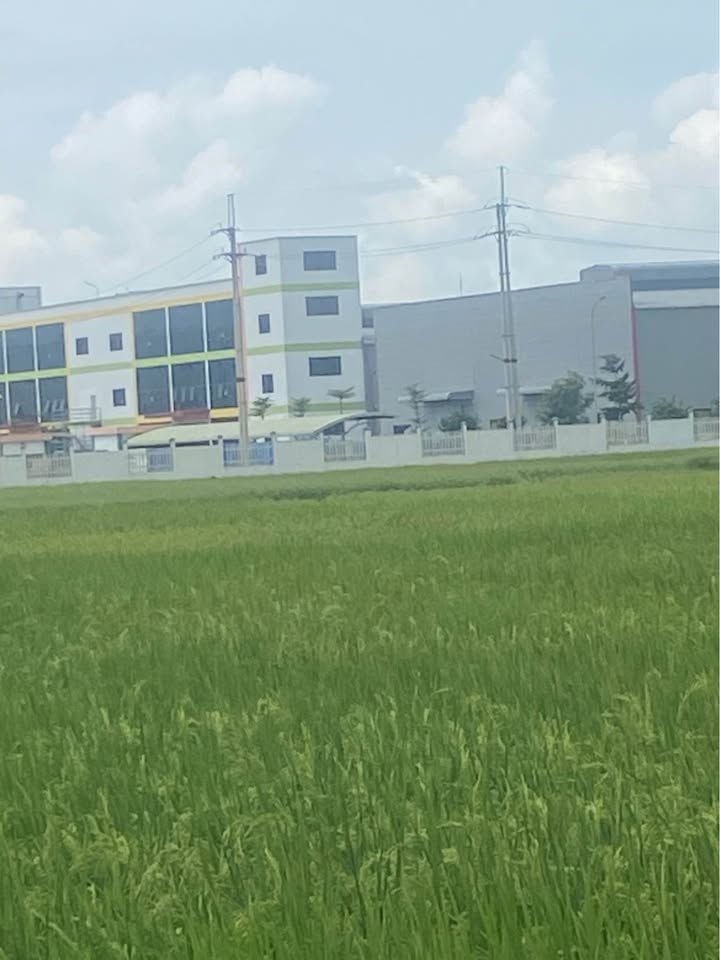 Đất Yên Ngô An Bình 74m² giá chỉ 1 tỷ - Cơ hội đầu tư sinh lời!