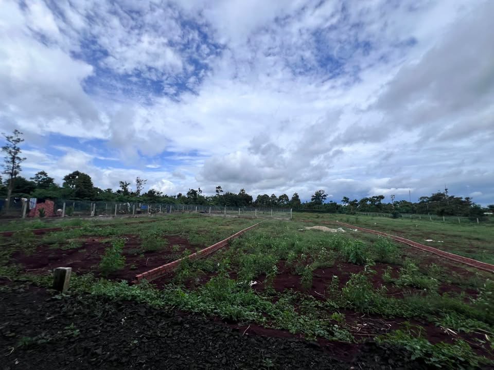 Đất nền xã Cưôr Đăng, Cư M'gar, Đắk Lắk 290m² giá 1 tỷ - Sổ hồng chính chủ!