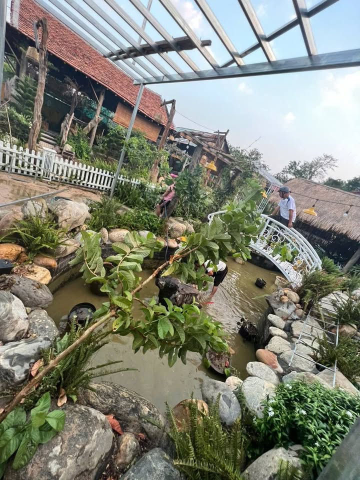 Homestay nghỉ dưỡng 1.872,2m² tại Đăk Ro Va, Kon Tum - Đầu tư lý tưởng, giá tốt!