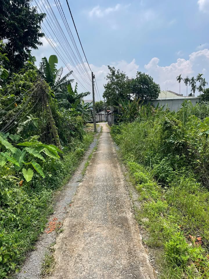 Nhà Chánh Nghĩa Thủ Dầu Một 100m² giá chỉ 1.5 tỷ - Chính chủ bán gấp!