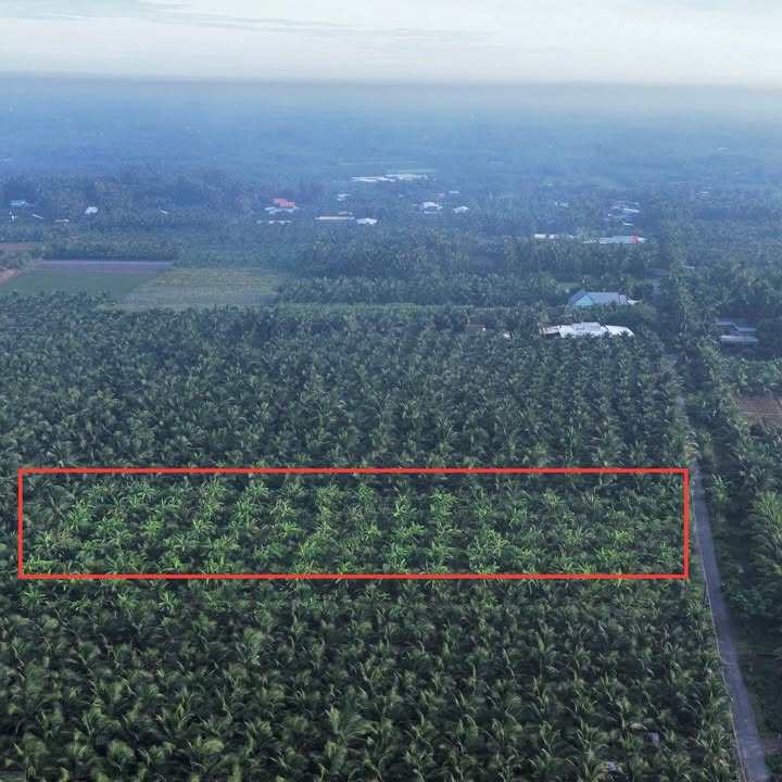 Đất nông nghiệp 4368m² xã Bình Ninh, Tiền Giang - Giá 900 triệu, view kênh tuyệt đẹp!