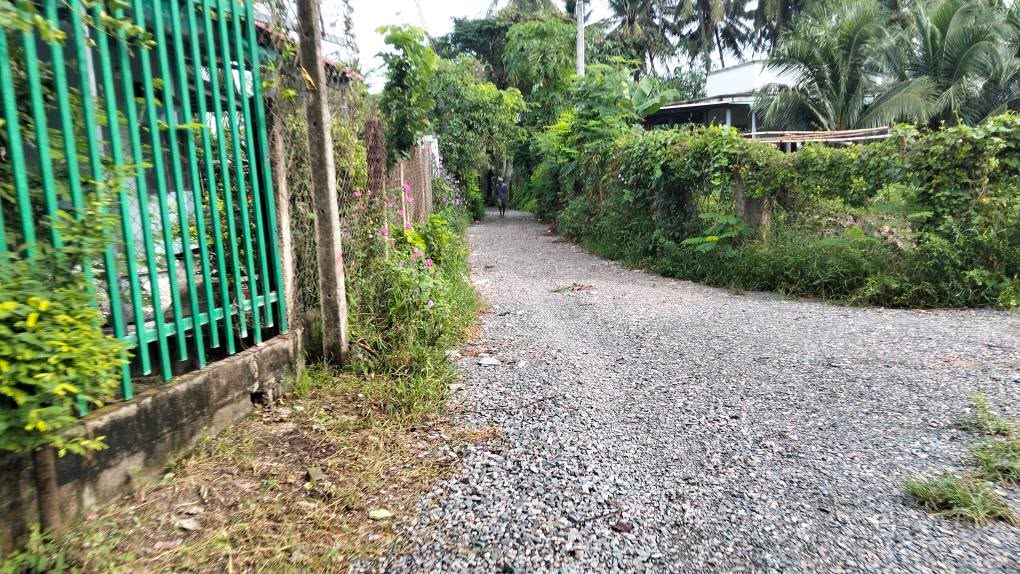 Đất nông nghiệp 646m² tại thôn 4, xã Hàm Đức - Giá chỉ 310 triệu!