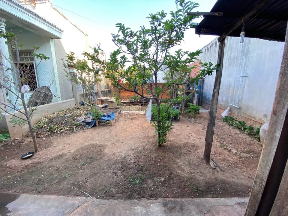 Đất thổ cư thôn Thắng Hoà, Hàm Thắng 266m² - Giá cả thương lượng hấp dẫn!