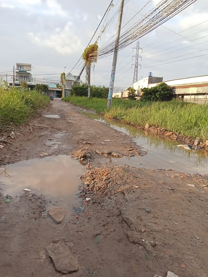 Đất thổ cư 400m² mặt tiền đường Gò Hưu, Đức Hòa - Cơ hội đầu tư sinh lời!