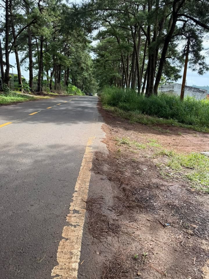 Đất thổ cư 80m² mặt đường Hàng Thông, Đức Trọng - Giá chỉ 1.4 tỷ!