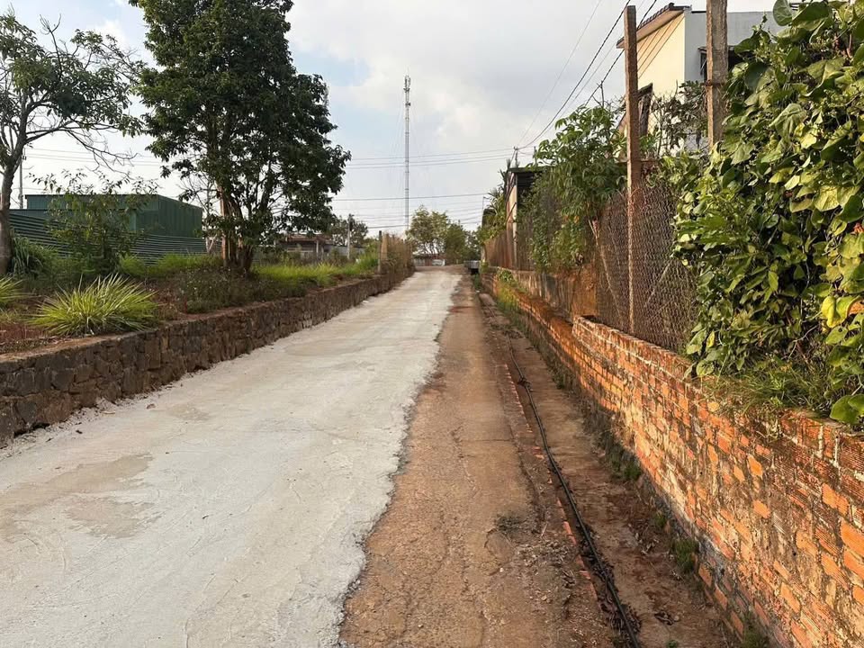 Đất thổ cư hẻm 123 Lê Quý Đôn 539.4m² giá 4.65 tỷ - Đầu tư sinh lời ngay!