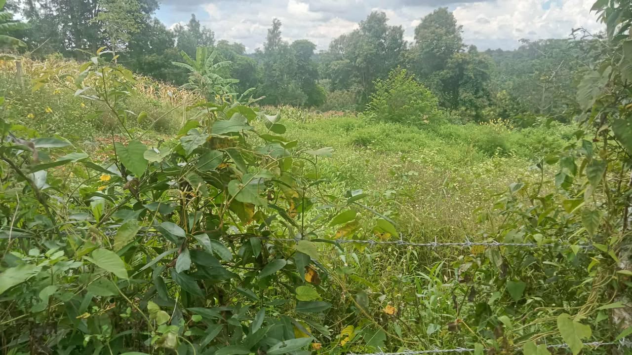 Đất trống 1 sào tại phường Thiện An, Buôn Hồ - Giá chỉ 400 triệu!