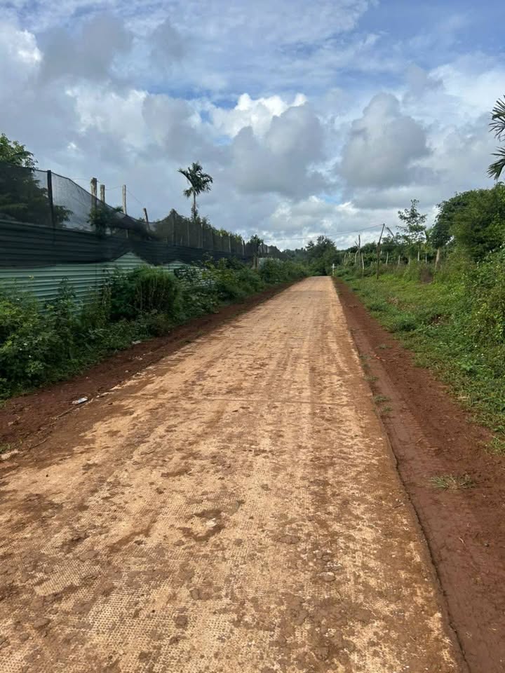 Đất nền đẹp phường Cư Bao 2359m² giá 1.55 tỷ - Vị trí thuận lợi gần khu công nghiệp!