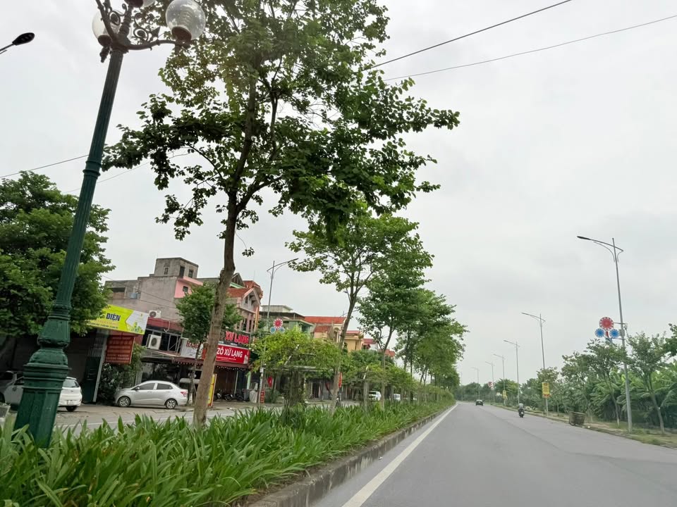 Nhà 3 tầng đường Triệu Quang Phục, Hưng Yên 125m² giá 9 tỷ - Kinh doanh thuận lợi!