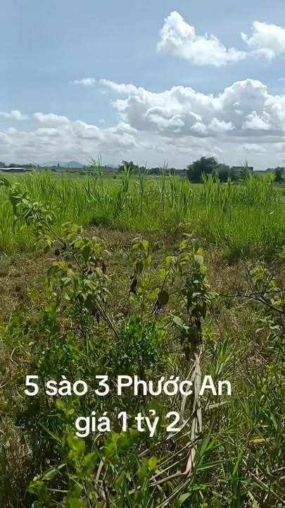 Đất nông nghiệp Phước An 18.000m² giá 1.2 tỷ - Cơ hội đầu tư hấp dẫn!