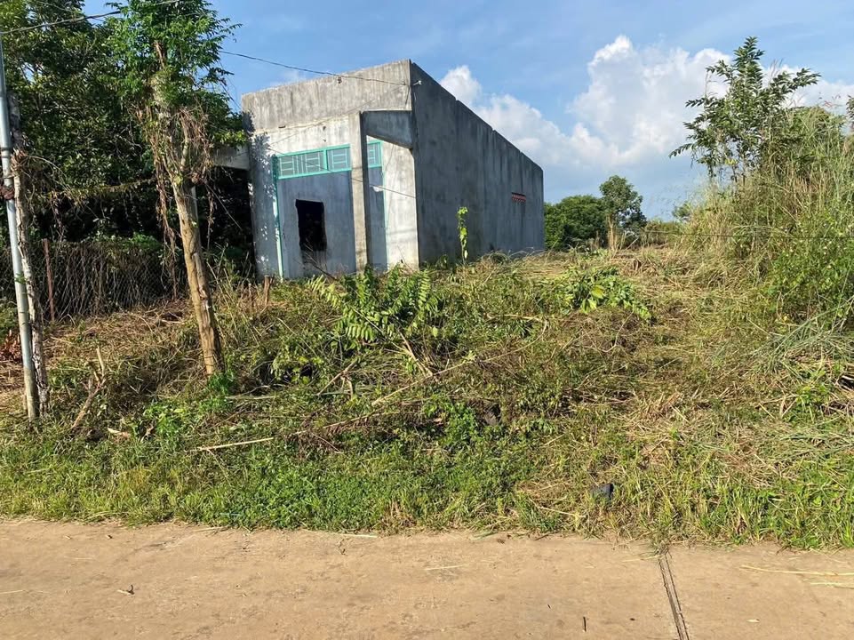 Đất nền mặt tiền đường bê tông 2200m² tại Phú Tân, Định Quán - Giá chỉ 1.65 tỷ!