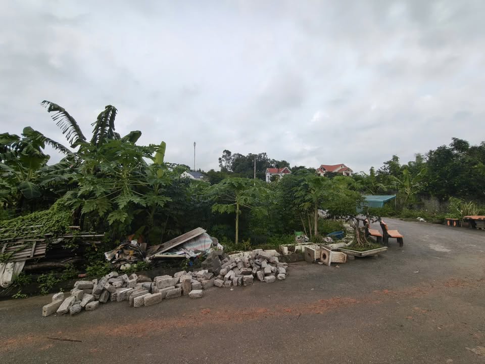 Đất nền thôn Ao Luông, xã Yên Mỹ, huyện Lạng Giang, 155m² giá chỉ 1.6 tỷ - Cơ hội đầu tư tuyệt vời!