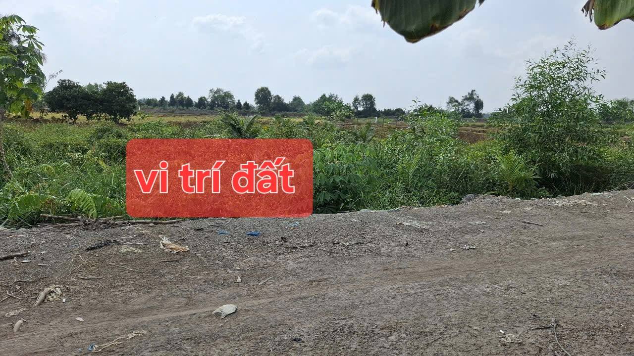 Lô đất vườn Tân Bửu, Bến Lức 843m² giá 1.5 tỷ - Cơ hội đầu tư hấp dẫn!