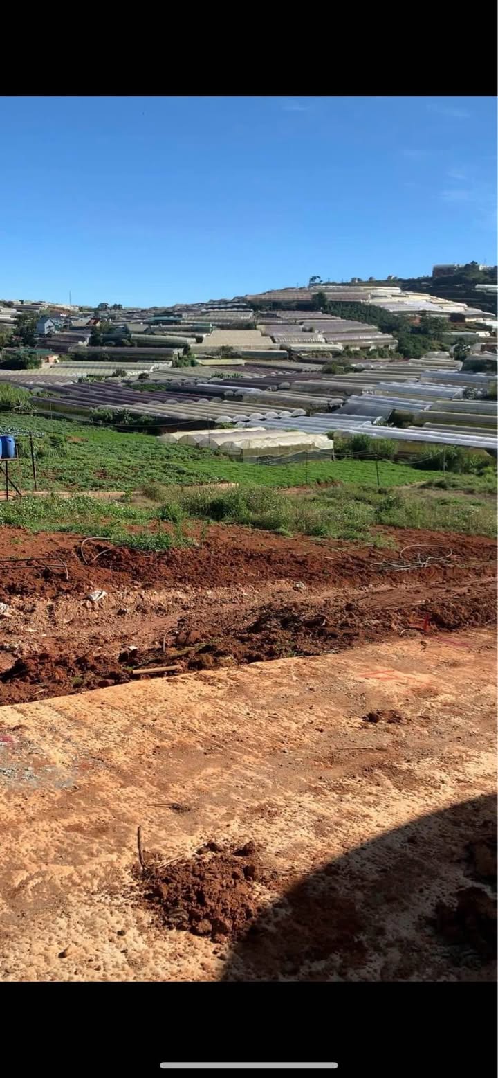 Đất nông nghiệp đường Trịnh Hoài Đức, Đà Lạt 612,7m² - Giá chỉ 1,5 tỷ!