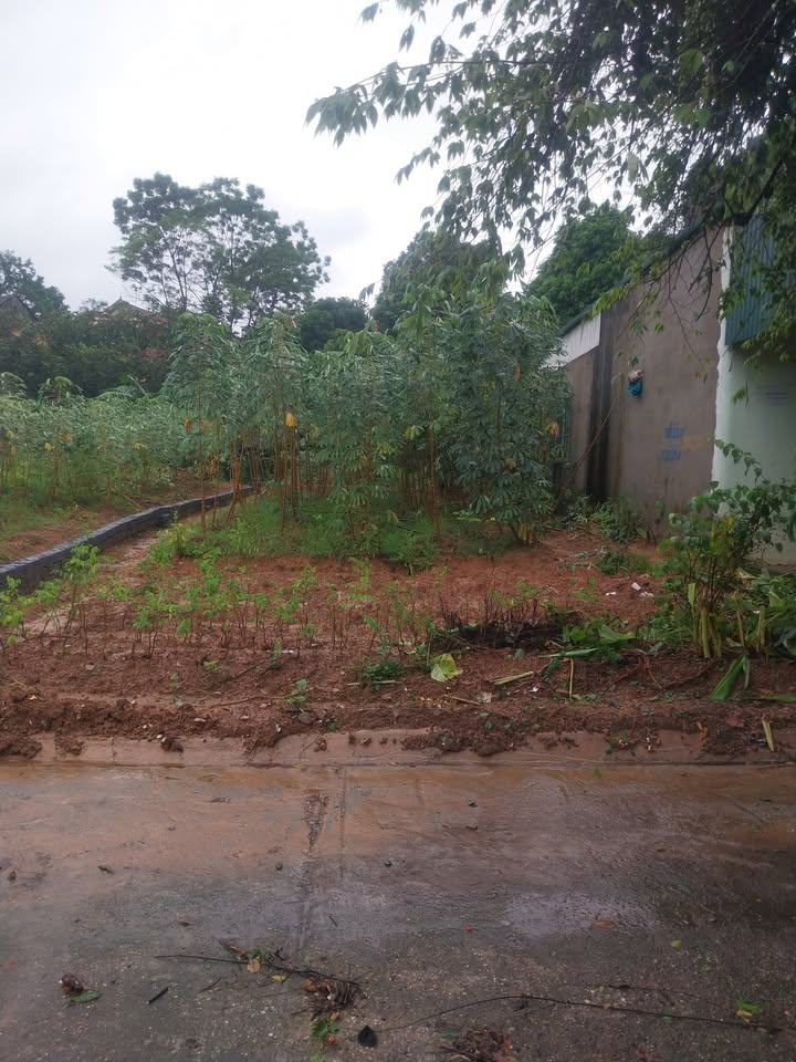 Đất mặt đường QL 32C, xã Tiên Kiên 164m² giá 1.2 tỷ - Đầu tư sinh lời mạnh!