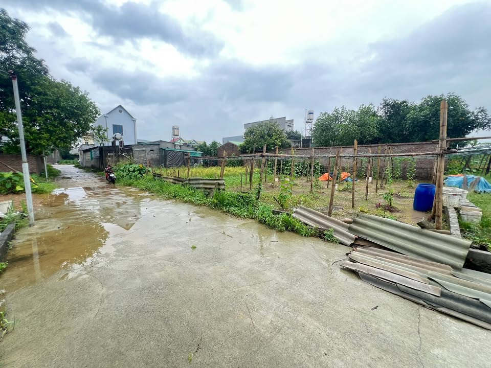 Đất nền Thủy Xuân Tiên Chương Mỹ 412m² giá 4.94 tỷ - Đầu tư sinh lời lâu dài!