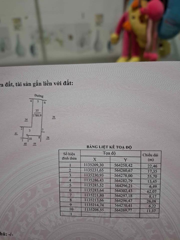 Đất thổ cư 1.780m² xã Sơn Đông - Tiềm năng đầu tư lớn!