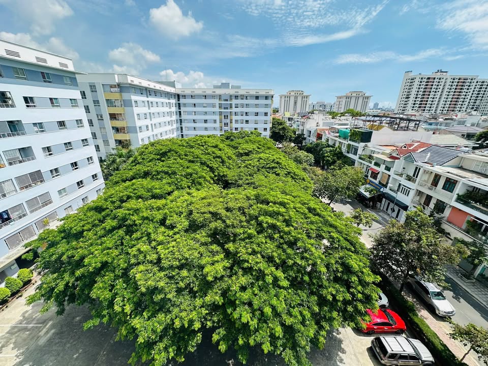 Căn hộ CT7 Vĩnh Điềm Trung 39m² giá 1.59 tỷ - View công viên thoáng mát!