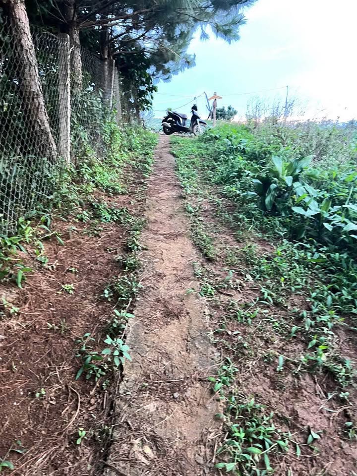 Đất nông nghiệp Lộc An Bảo Lộc 12,600m² giá 1.82 tỷ - Thế đất đẹp, tiện ích đầy đủ!