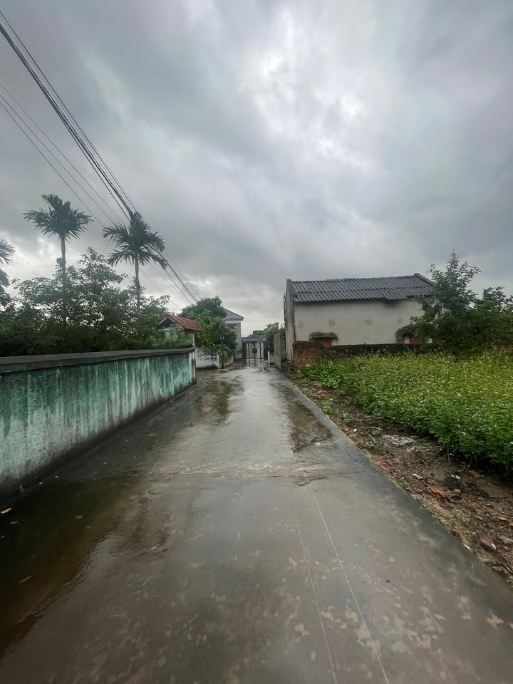 Bán đất Lan Mẫu Lục Nam 125m² giá 800 triệu - Tiềm năng phát triển cao!