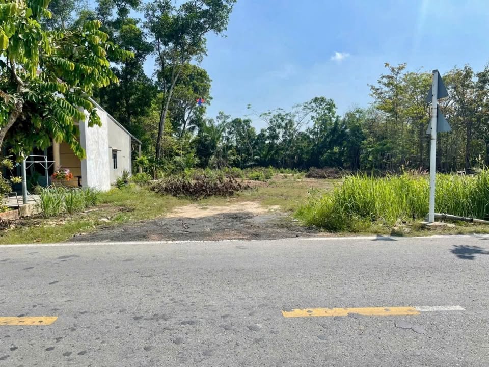 Đất mặt tiền nhựa An Nhơn Tây, Củ Chi 600m² giá 4 tỷ - Cơ hội đầu tư tuyệt vời!