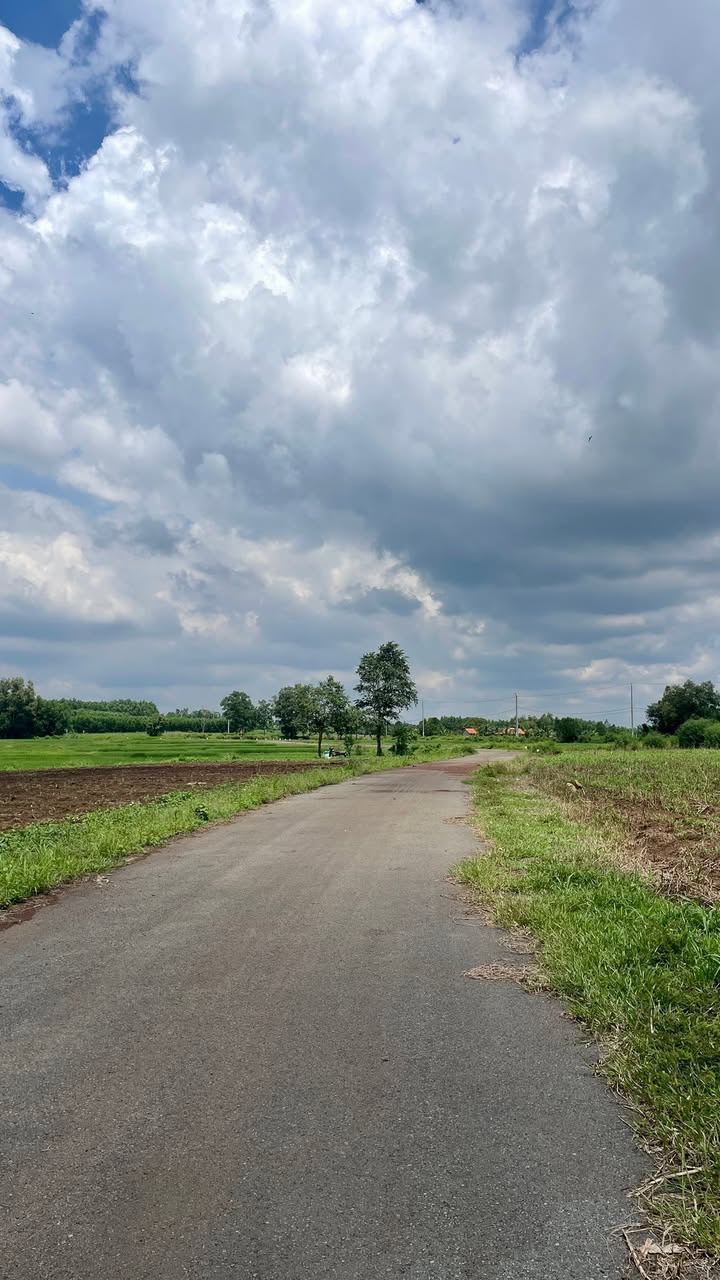 Đất Farm xã Bình Giã, Châu Đức 6300m² giá 4.6 tỷ - Mặt tiền nhựa, đường thông liên xã!