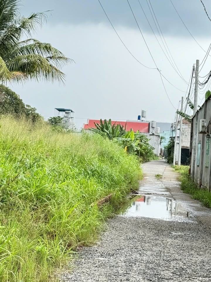 Đất nền Hắc Dịch, Phú Mỹ 2000m² giá 4 tỷ - Cơ hội đầu tư hấp dẫn!