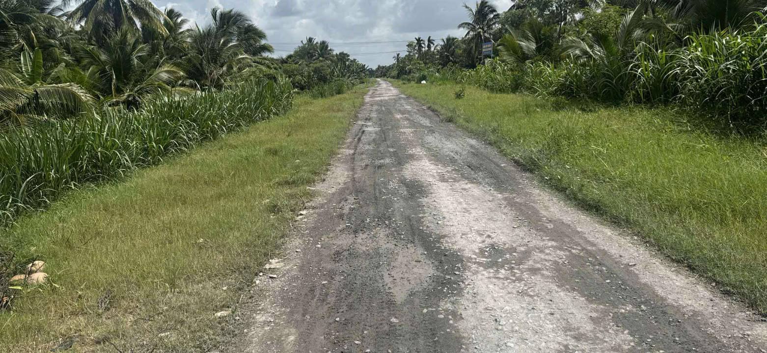 Đất nền 3600m² mặt tiền đường Đê Tây Kênh Nguyễn Tấn Thành - Đầu tư sinh lời lâu dài!