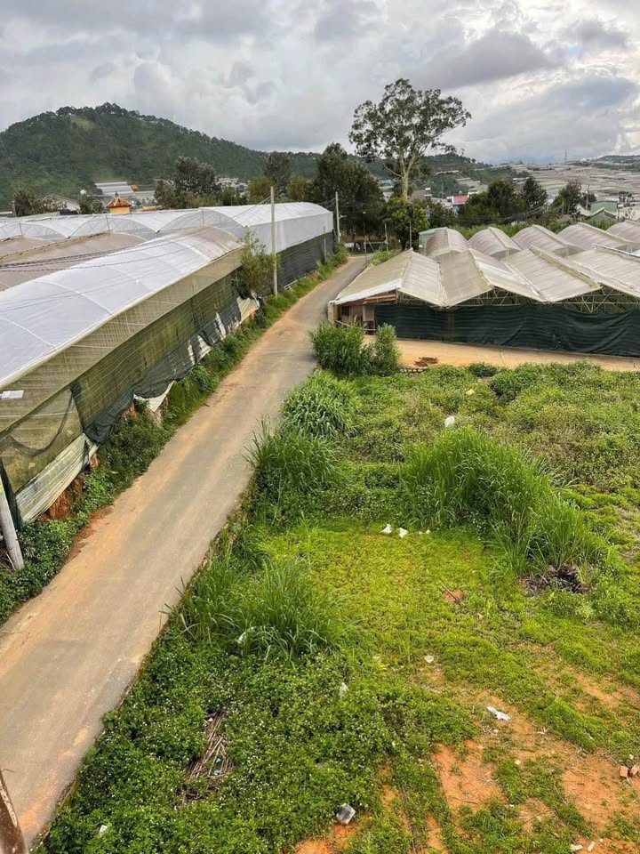 Đất 2 Mặt Tiền Thái Phiên Lâm Viên Đà Lạt 235m² giá 5.2 tỷ - Sổ đỏ chính chủ