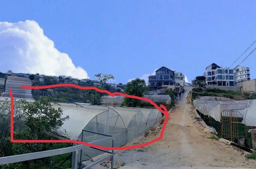Đất nền đường Hoàng Hoa Thám, Đà Lạt 2400m² giá 24 tỷ - Cơ hội đầu tư tuyệt vời!
