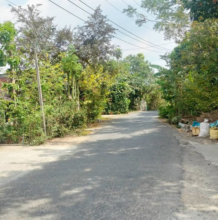 Đất nền Cái Dâu Xép Bà Vạy, Lai Vung, 178m² giá 400 triệu - Đầu tư sinh lời ngay!