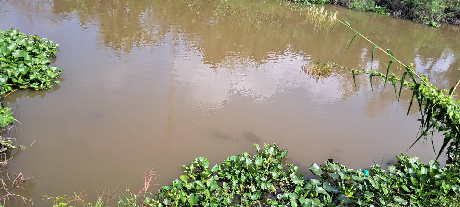 Đất nền xã Mỹ Hiệp, huyện Cao Lãnh 60m² giá 300 triệu - Sổ hồng chính chủ!